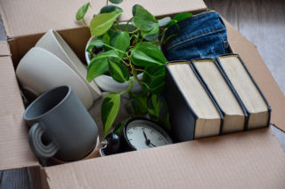 A cardboard box filled with books, plants, and personal items, symbolizing the first steps toward a clutter-free lifestyle in Milton, WI.