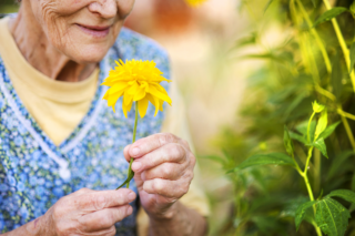 A senior woman holding a vibrant yellow flower, embracing the joys of nature, and feeling younger every day in Waterford, WI.